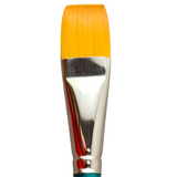Aureum, Flat 3/4"