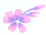 Superstar Flower-Petal, Saskia No 12